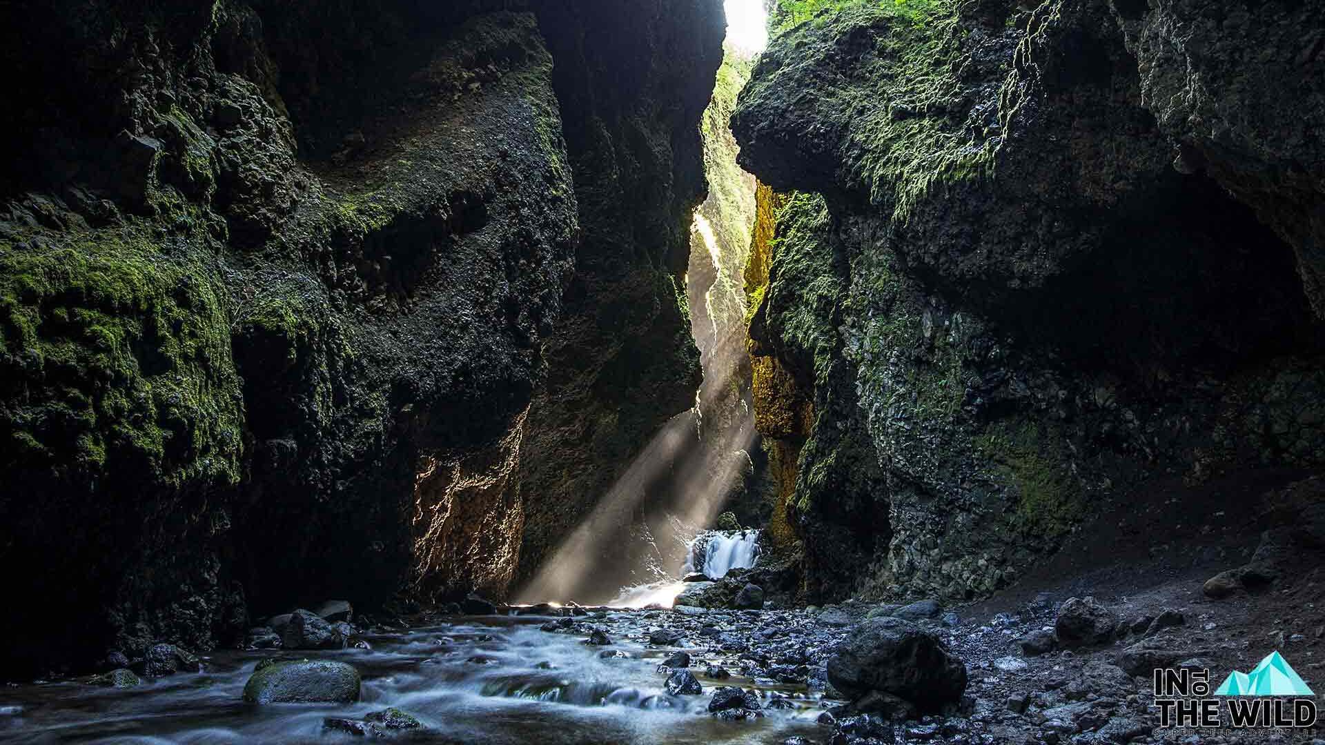 Tour image for Into The Wild Iceland