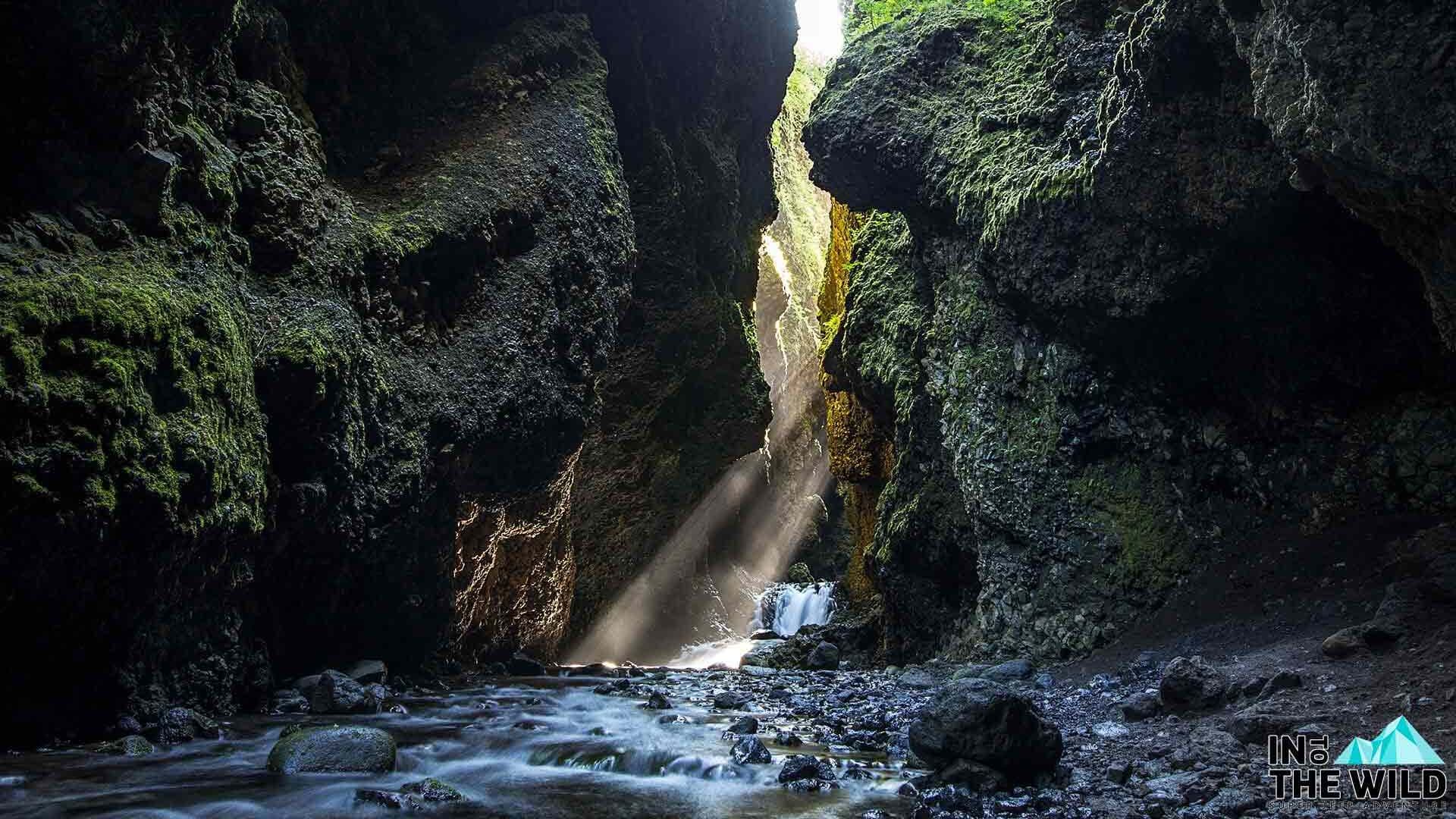 Tour image for Into The Wild Iceland